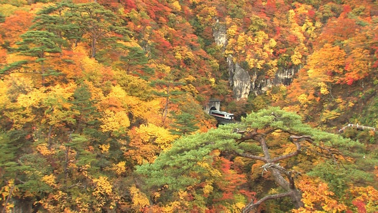 Spectacular Scenic Railway Journeys 鉄道・絶景の旅